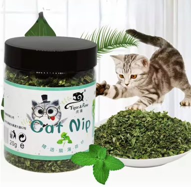 Organic Natural Catnip